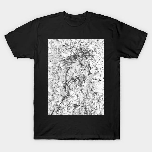 BRANCHED ROOTS 1 - Subterranean Conversation Exposed T-Shirt by spacedivers